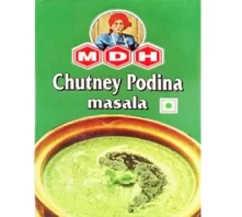 MDH Chutney Podina Masala 100gm