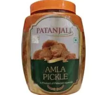 Patanjali Amla Pickle 500gm